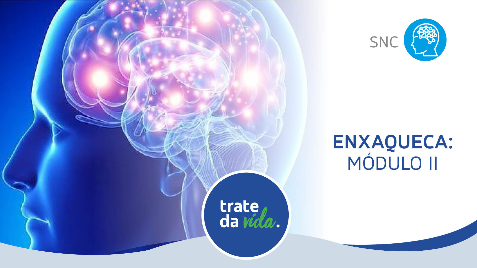 Conteúdo lista Neurologia e Psiquiatria