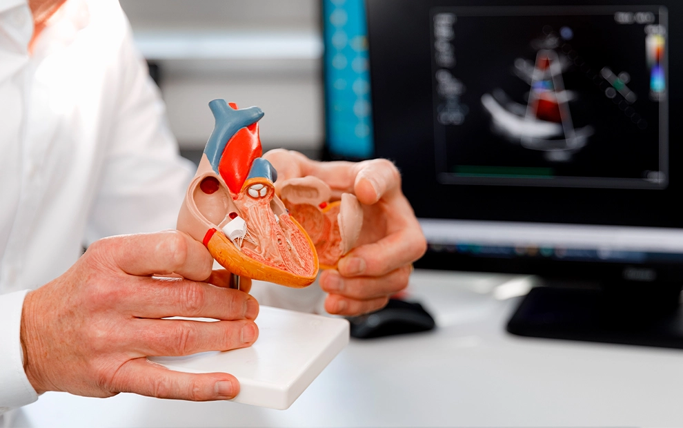 Conteúdo lista Cardiometabólica