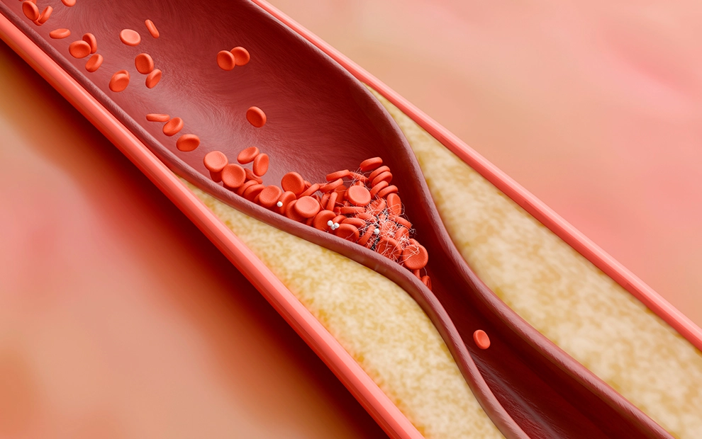 Conteúdo lista Ginecologia e Obstetrícia