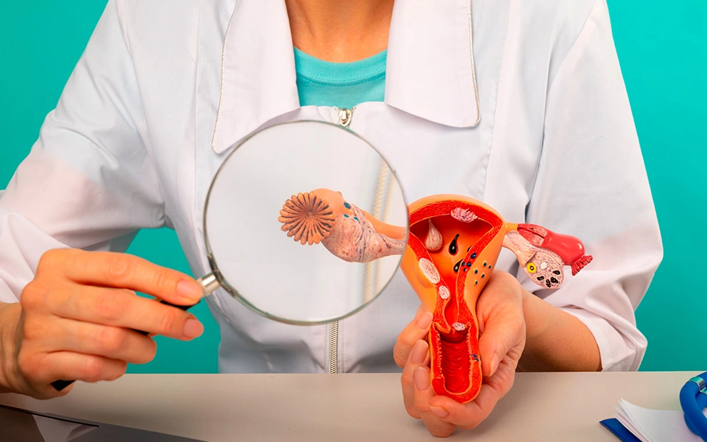 Conteúdo lista Oncologia e Hematologia