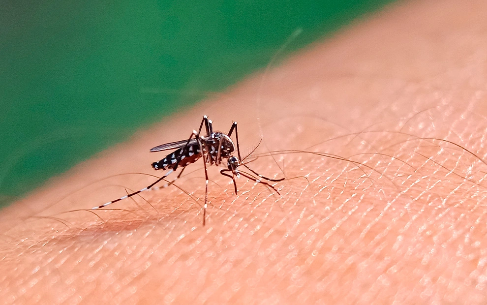 Conteúdo lista Cardiometabólica