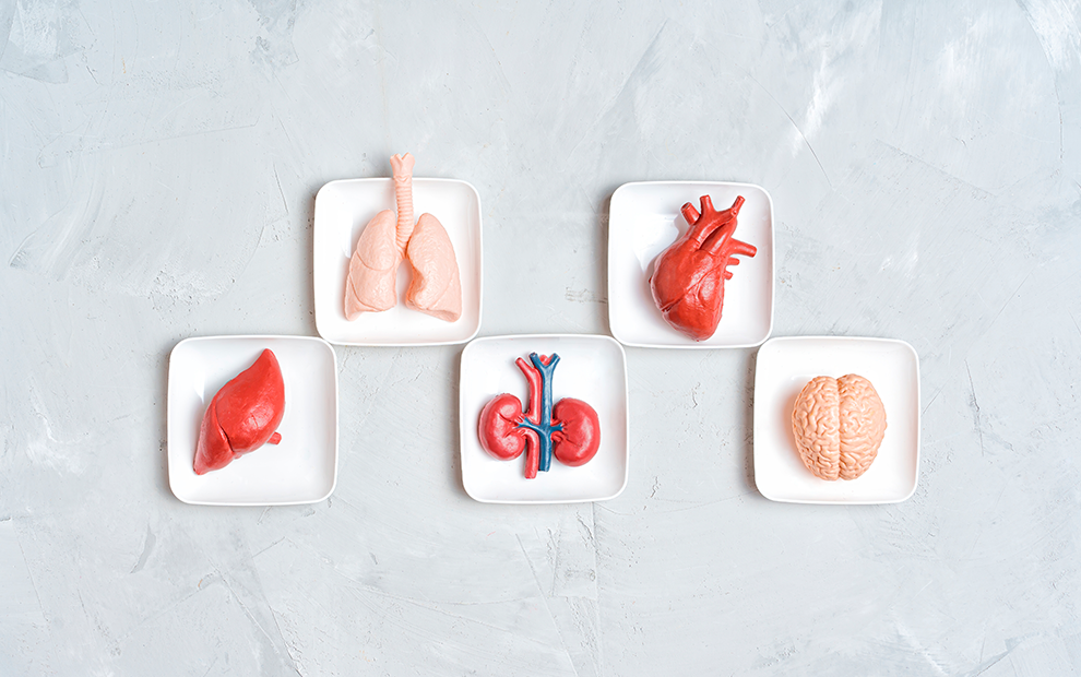 Conteúdo lista Cardiometabólica