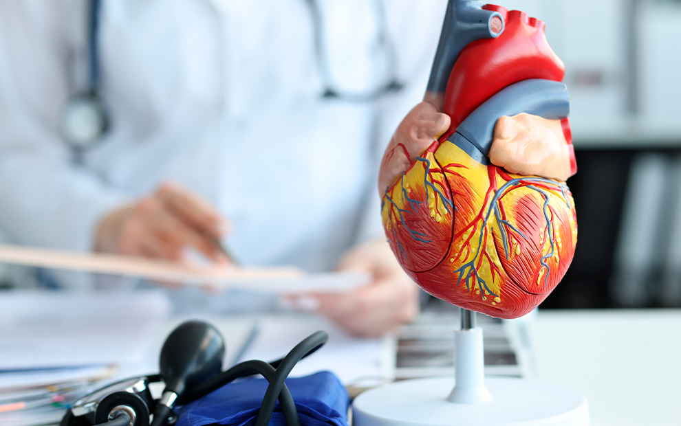 Conteúdo lista Cardiometabólica