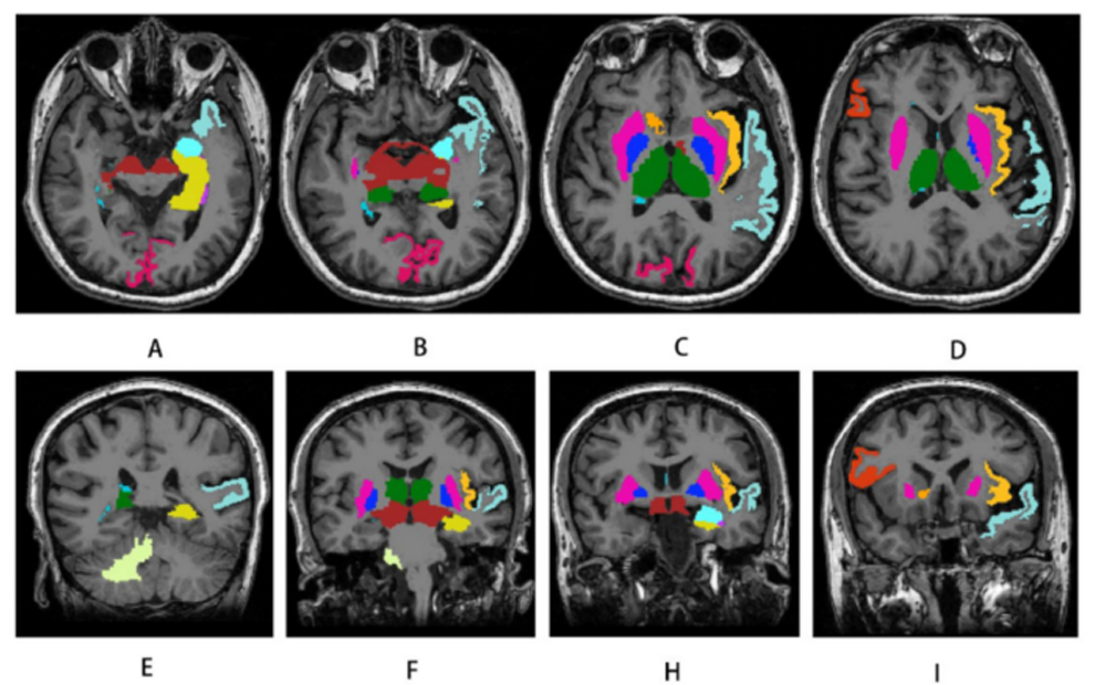 Conteúdo lista Oncologia e Hematologia