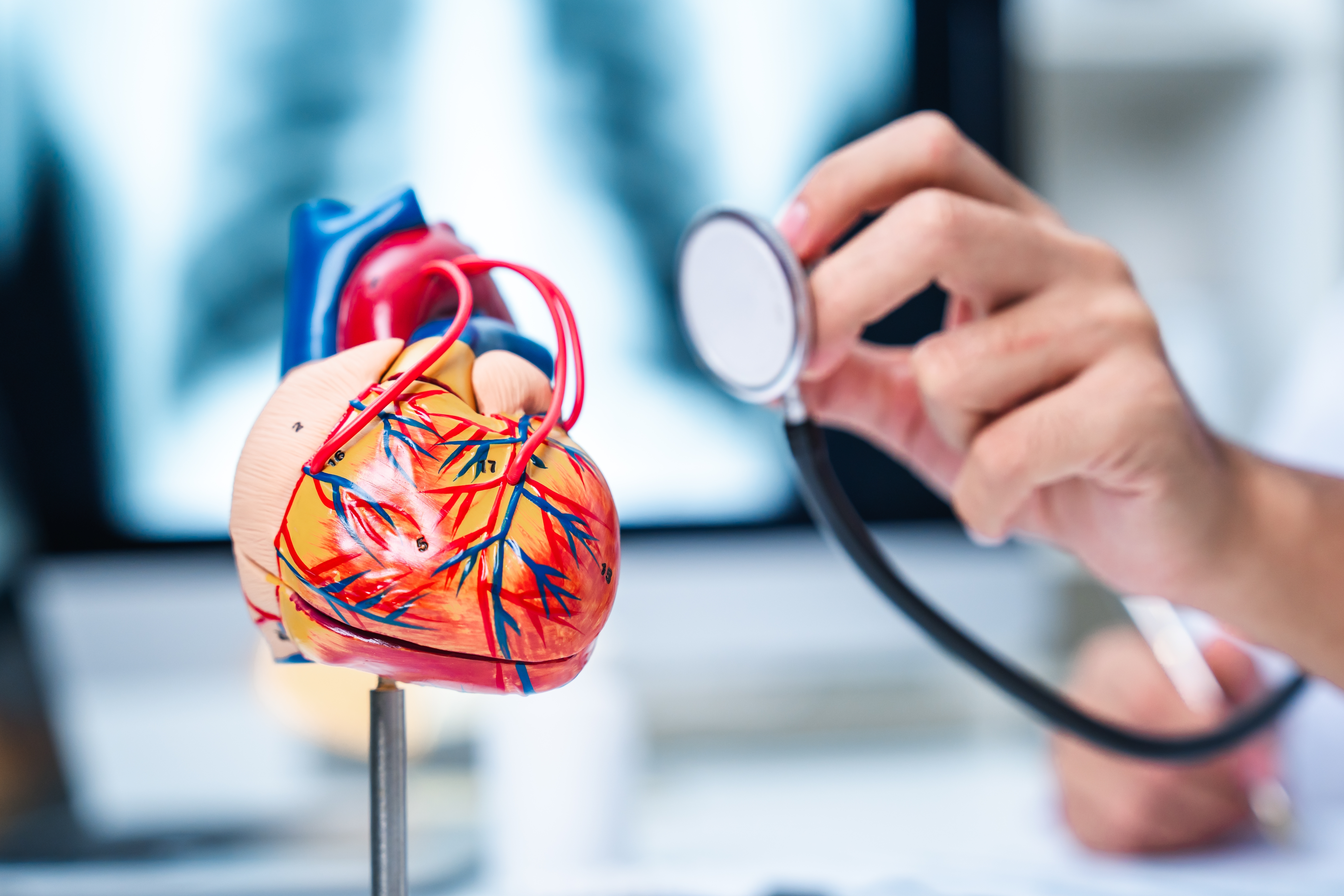 Conteúdo lista Cardiometabólica