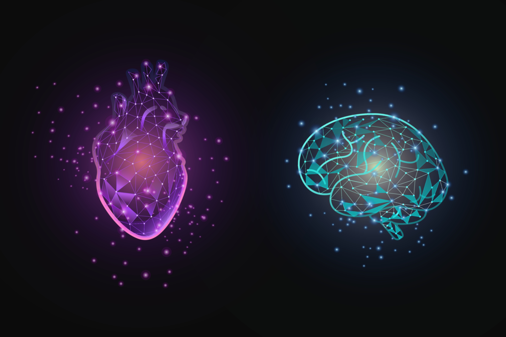 Conteúdo lista Saúde Cardiovascular