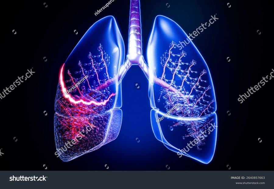 Conteúdo lista Oncologia e Hematologia