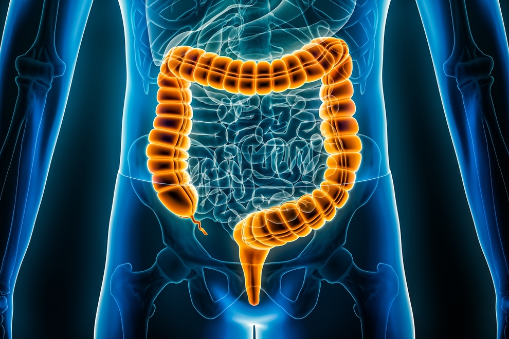 Conteúdo lista Gastroenterologia