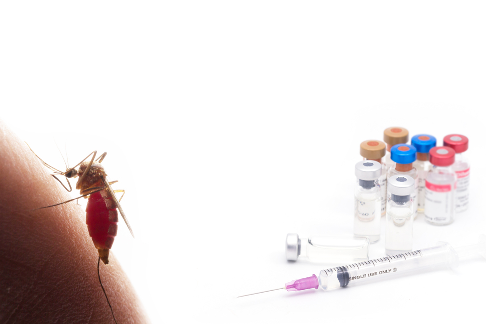 Conteúdo lista Estetrol