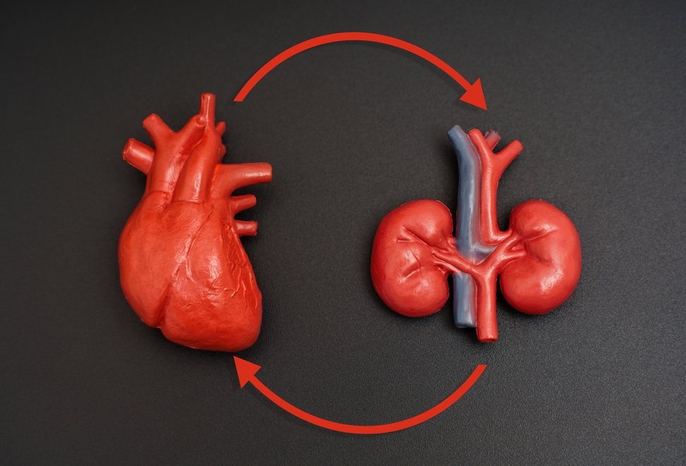 Conteúdo lista Cardiometabólica