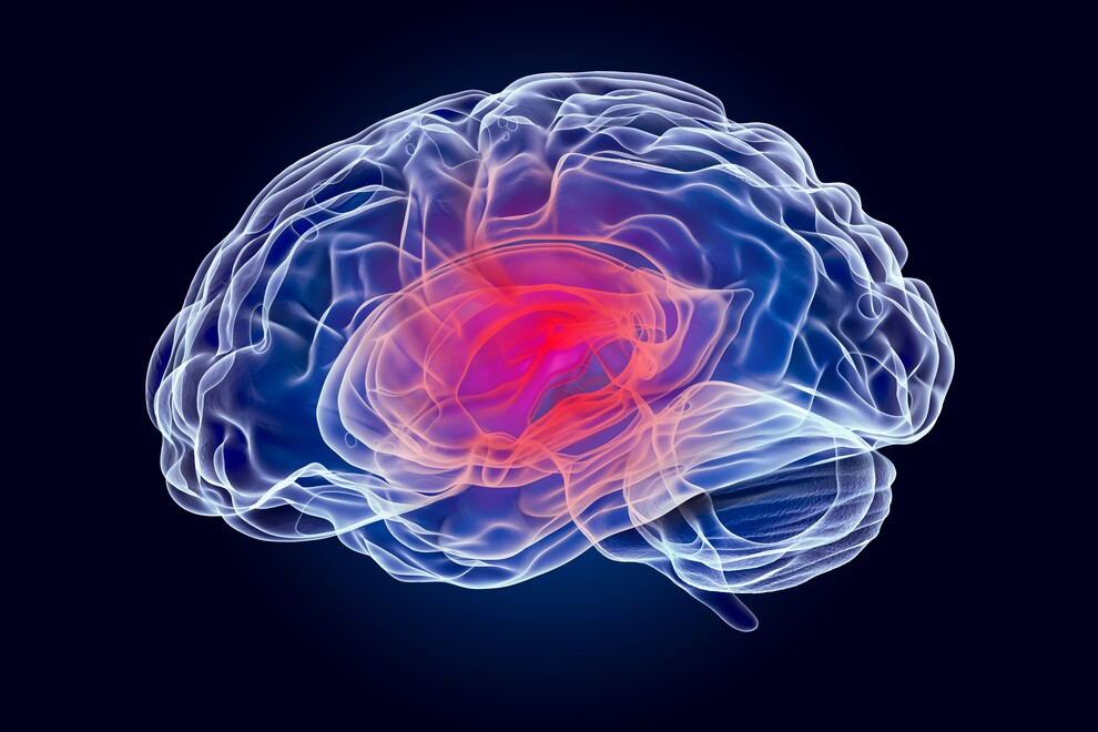 Destaque Neurologia e Psiquiatria