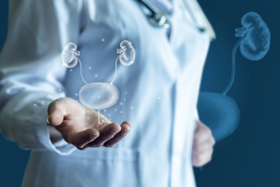 Conteúdo lista Ginecologia Geral