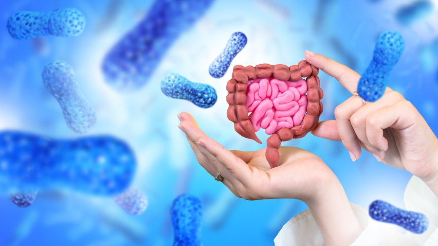 Conteúdo lista Hematologia